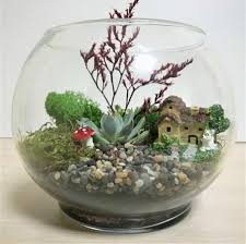 Terrario Starter Base Kit Kit Fai Da Te Terrario Terrario Etsy Terrarium Starter Kit Decor