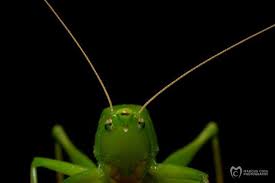 Profile for Marcus Coia Photography