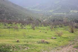 The petorca river is a river of chile. Revisiting The Most Affected Drought Stricken Avocado Region In Chile September 2015 California Avocado Comments