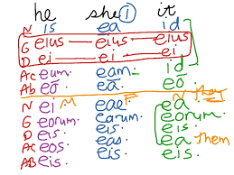 Relative Pronoun Chart Latin Showme