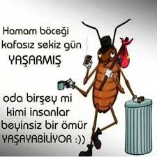 Simge Kesim Simgemrahaktan Twitter Memes Ecard Meme Quotes