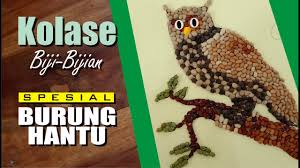 Dihalaman ini anda akan melihat gambar sketsa kolase burung hantu yang keren! Kreasi Kolase Biji Bijian Spesial Burung Hantu Youtube