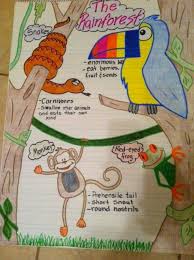 Rainforest Anchor Chart Rainforest Activities Anchor Charts Rainforest Habitat