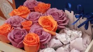 مشروع اللغة العربية في الثانوية 27 Youtube