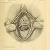 To view scroll down the page and click on the individual icons below to go to specific anatomical areas. 1