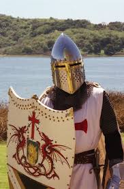 Pin On Cool Knights Armor Its In My Blood