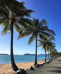Searching for the cheapest hotels in hamilton island queensland? Tourist Hotspots To Ghost Towns Popular Resorts Are Left Deserted Amid Coronavirus Lockdown Daily Mail Online