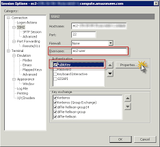How To Connect To Amazon Ec2 Linux Ami Using Securecrt Skufel Linux Port Forwarding Connection