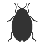 ‹ › household pest control. Pest Control Tucson Extermination Services