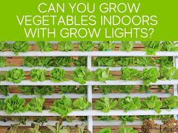 Up dayday has a rather unique design that allows you to easily adjust to the illumination angle you prefer. Can You Grow Vegetables With Grow Lights Greenhouse Today