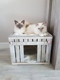 19 Ideas Lindas E Impresionantes De La Casa Del Gato Interior Al Aire Libre Jessica Paster Evcil Hayvan Yataklari Hayvan Projeleri Evcil Hayvan Urunleri