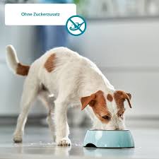 Librivox volunteers record chapters of books in the public domain, and then we release the audio files back onto the net. Zooroyal Mono Protein Mit Huhn Und Zucchini Kaufen Bei Zooroyal