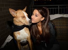 Manhattan animal care center 326 east 110th street (between 1st and 2nd. Ariana Grande Badass Brooklyn Animal Rescue Adoption Event 13 Gotceleb