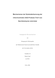 Main protease (3clpro) spike glycoprotein ace2 (human) rdrp (nsp12) endoribonuclease (nsp15). Https Kups Ub Uni Koeln De 1841 1 Dissertation Martin Graef Pdf
