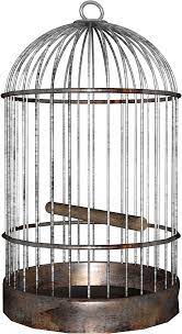 Bird Cage Png Image Bird Cage Bird Ceiling Lights