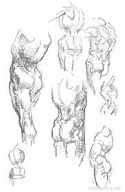 Anatomy Of The Trunk George Bridgman Free Art Book Anatomy Art Human Anatomy Drawing Art