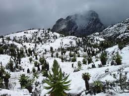 Due to rwenzori mountain's proximity to the equator that is located in kasese town ( rwenzori mountains national park) and crossing queen elizabeth national park, this region does not experience the extremes of winter and summer weather, but rather dry and wet seasons. Mount Rwenzori Hike 10 Days Rwenzori Mountain Hiking Adventure Africa Travel Africa Tour World Heritage Sites