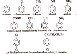 Cbse Notes Class 11 Chemistry General Organic Chemistry