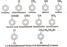 cbse notes class 11 chemistry general organic chemistry