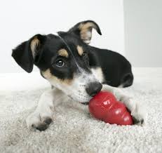 Check spelling or type a new query. How To Reduce Anxiety For Pets According To An Expert