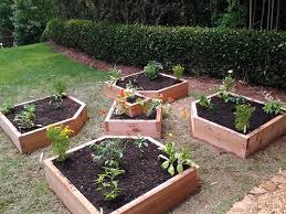 Backyard vegetable garden layout plans and pictures! Backyard Gardens On Behance