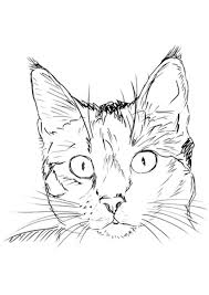 69 Cat Coloring Pages Coloring Pages