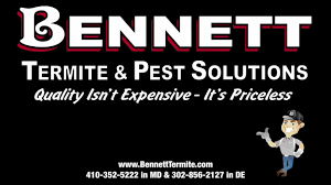 With many years of experience in the industry and the right attitude, elite termite & pest solutions, llc, will solve and eliminate your bug issues. Bennett Termite Pest Solutions Bishopville Maryland Facebook