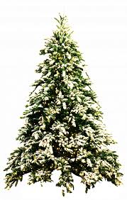 Misc Frosted Christmas Tree Pngs By Dbszabo1 On Deviantart Frosted Christmas Tree Christmas Tree Tree