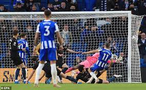 Trussardi sale l shopping time l outlet l cherries familie. Brighton 3 2 Man City Champions Stunned By Second Half Comeback Spartacelticfest