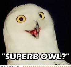 Super Bowl Memes Red 5 Tattoo Virginia Beach Va