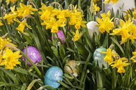 Find fresh and beautiful spring flowers at ftd.com. Best Easter Plants 12 Easter Flowers For Decorating And Gifting