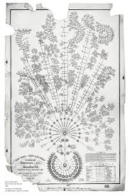 Organizational Structure Flow Charts