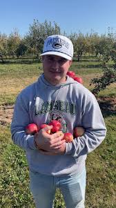 Apple Orchard Raleigh Nc