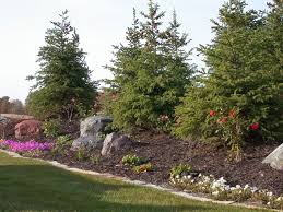 Landscape 314 913 1190 Landscaping Berm Ideas Landscape Design Privacy Landscaping