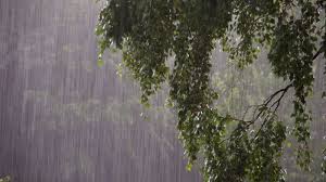 Heavy rains likely in Assam, Jharkhand; orange alert in Odisha, Chhattisgarh