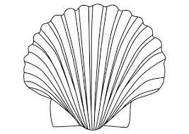 Coloriage Coquille Saint Jacques Img 27179 Coquillage Dessin Dessin Shell Saint Jacques De Compostelle