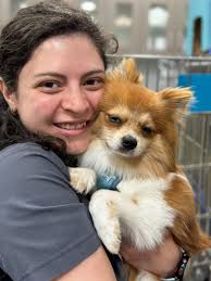 River District Living Magazine