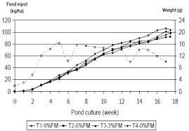 Feed Management For Improving Production Economic Returns