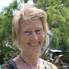Interview with Robin Allison, Author of Cohousing for Life