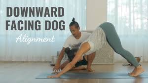On its own, it is beneficial. Downward Facing Dog Alignment Are You Doing It Wrong Tint Yoga