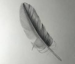 Check spelling or type a new query. Feder Zeichnen Lernen Schritt Fur Schritt Anleitung