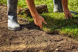 The soil and sod depot offers a variety of all natural landscape materials including. Sod Installation Fairgreen Sod Farms Family Owned