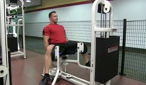 Machine manufacturers really threw away any semblance of moral or ethical practice with the widespread and continued production of hip adductor and abductor machines. Seated Hip Adduction Bodybuilding Wizard