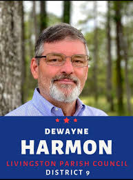 Livingston Parish Voter Guide: Sheriff, council and BESE