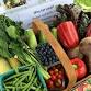 CSA Pickup Day — Nourse Farm