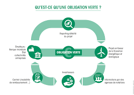The bond is a debt security, under which the issuer owes the holders a debt and (depending on the terms of. Les Obligations Vertes Ministere De La Transition Ecologique