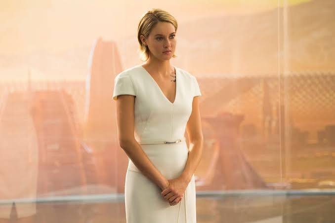 Diverging from what first attracted us to 'Divergent' - The Boston Globe
