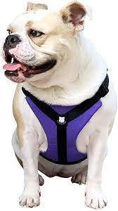 English bulldog harness of nylon for multitasking use. Amazon Com Bulldog Grade No Pull Dog Harness Custom Fit Reflective Vest Harnesses With Handle Designed For English Bulldogs French Bulldogs And American Bulldogs Large Panting Purple Pet Supplies
