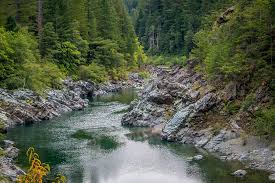 Natural resources are very important in the world. Natural Resource Kids Britannica Kids Homework Help