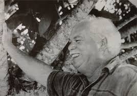 Image result for Rhytachne subgibbosa